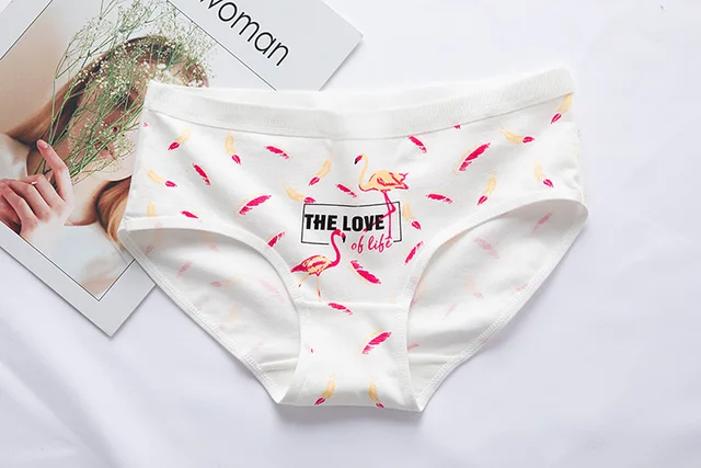 Pink Tropical Leaves Flamingo Women's Underwear Comfy Ladies