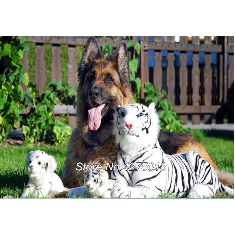 German Shepherd with White Tiger toys