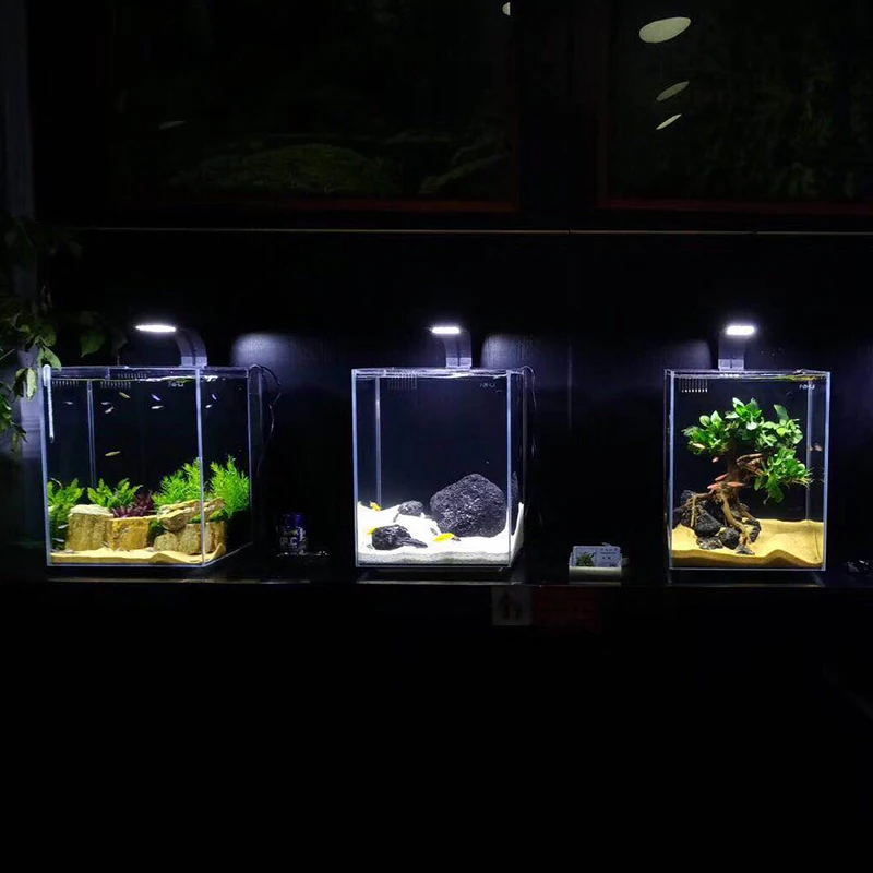 Aquarium Lighting9