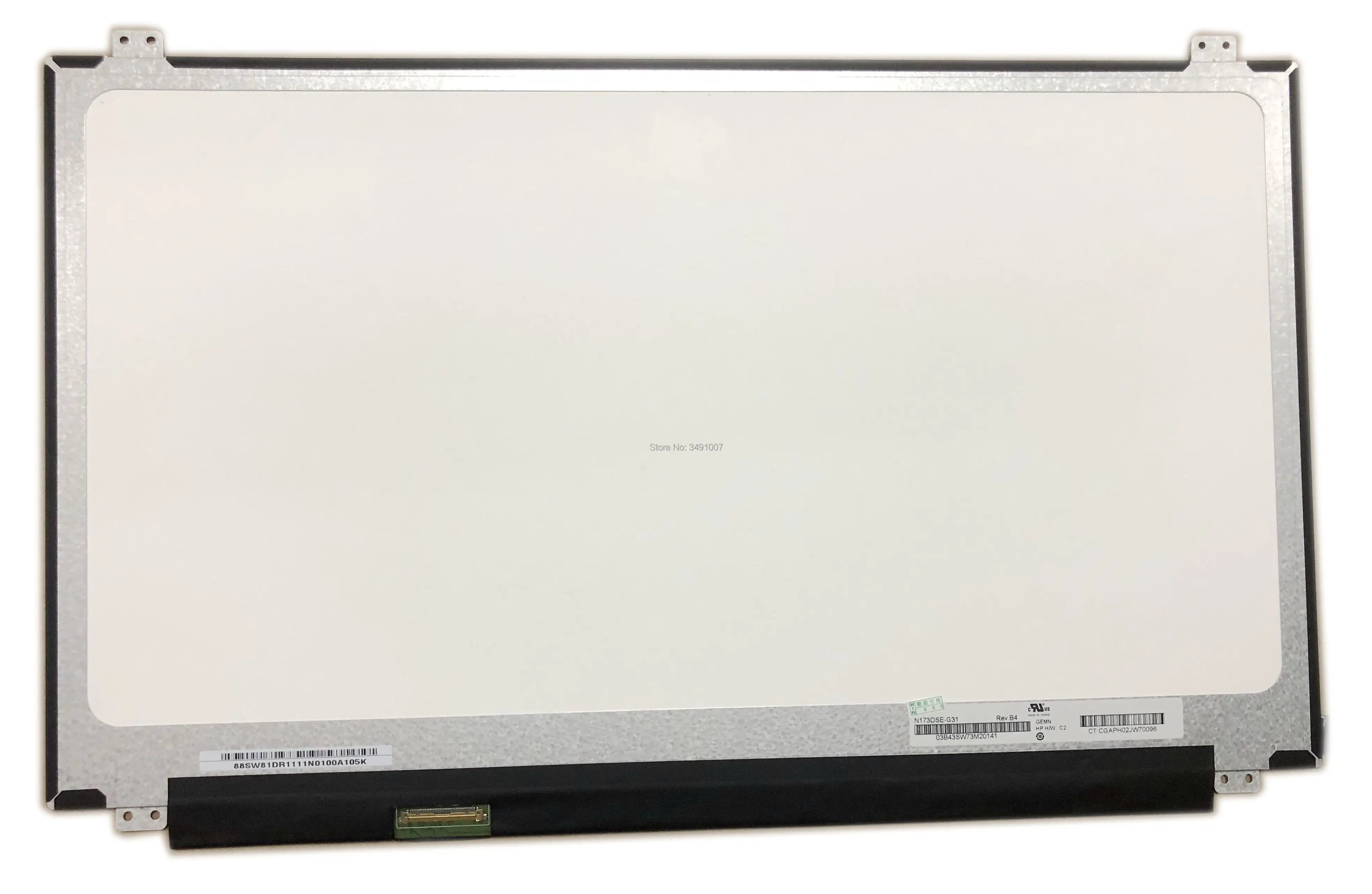 N173DSE-G31 Rev.B4