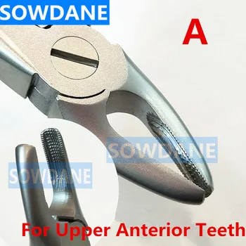Dental Adult Tooth Extraction Plier For Anterior Front Tooth Stainless Steel Dental Orthodontic Surgery Forcep Instrument medical tooth instrument material multifunction plier dental forcep set adult children mouth care animal tooth remove extraction