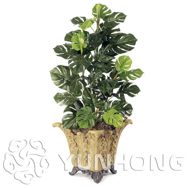100% Genuine Rare 100pcs 10kinds mix Philodendron Bonsai, vine leaf, indoor plants Anti Radiation Absorb dust tree Bonsai