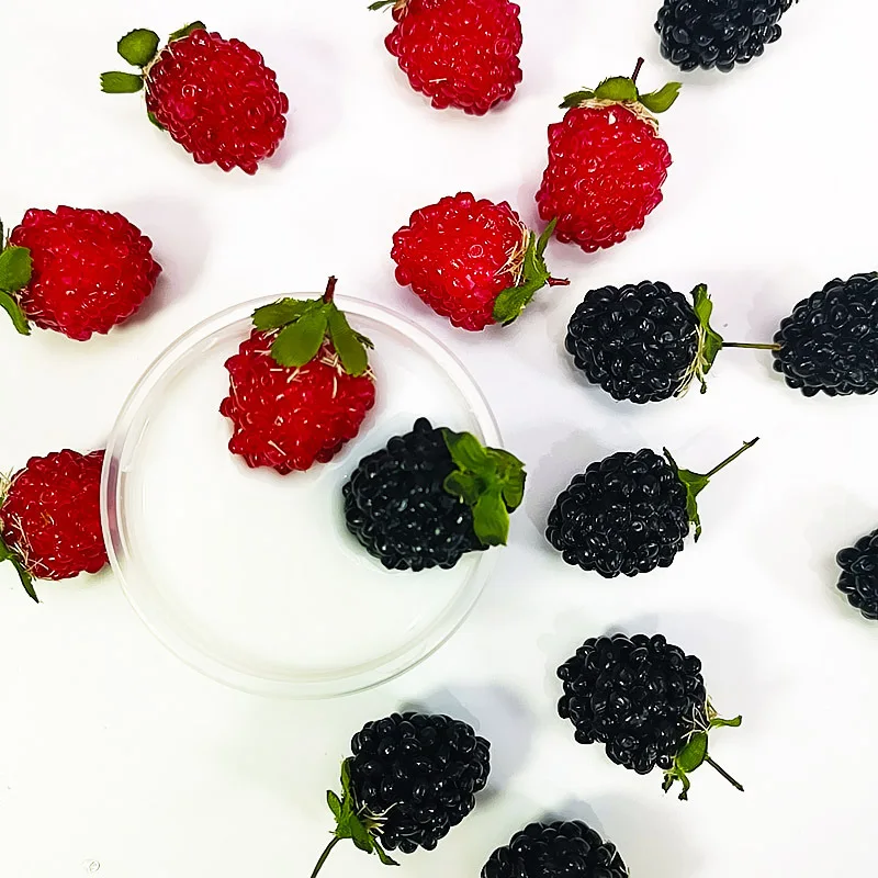 Happy Monkey 15pcs/Pack Slime DIY Accessories Toys Simulation Fruit Fluffy Clear Slime Supplies Gift Toy For Children Adult