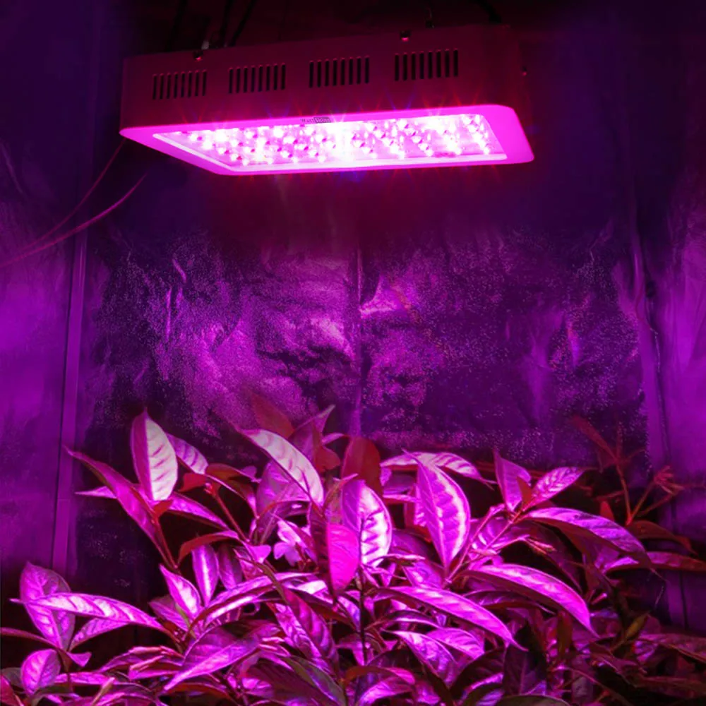 Whole hot seller 300W Led Grow Lights Panel 3W Led plant lamps for indoor Greenhouse hydroponic systems grow tent CEROHS (24)