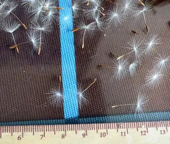 

NEW Dandelion seeds Fillers for Glass Wish Bottle Glass Vial Pendant DIY jewelry findings(one bottle more than 1000pcs)