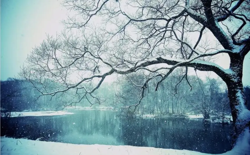 

wallpaper for walls 3 d for living room Fantasy Snowflake 3D Landscape Background Wall Painting