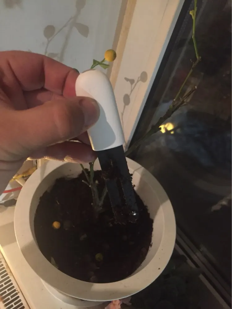 UT8rWvlXR4XXXagOFbXZ