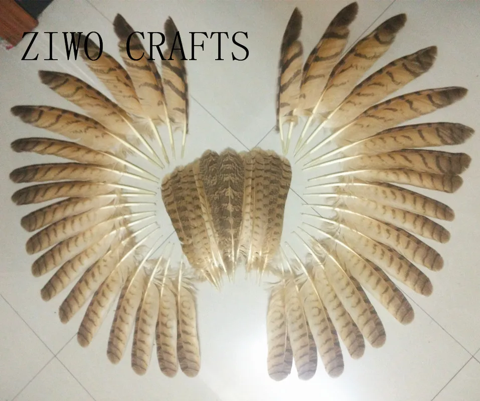 wholesale 50 pcs / lot 25 37cm high quality natural owl feathers / DIY
