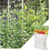 Mesh 5/10m Polyester Net Loofah Netting For Morning Glory Vine Flowers Garden Plants Climbing Net Cucumber Vine Grow Holder ► Photo 2/6