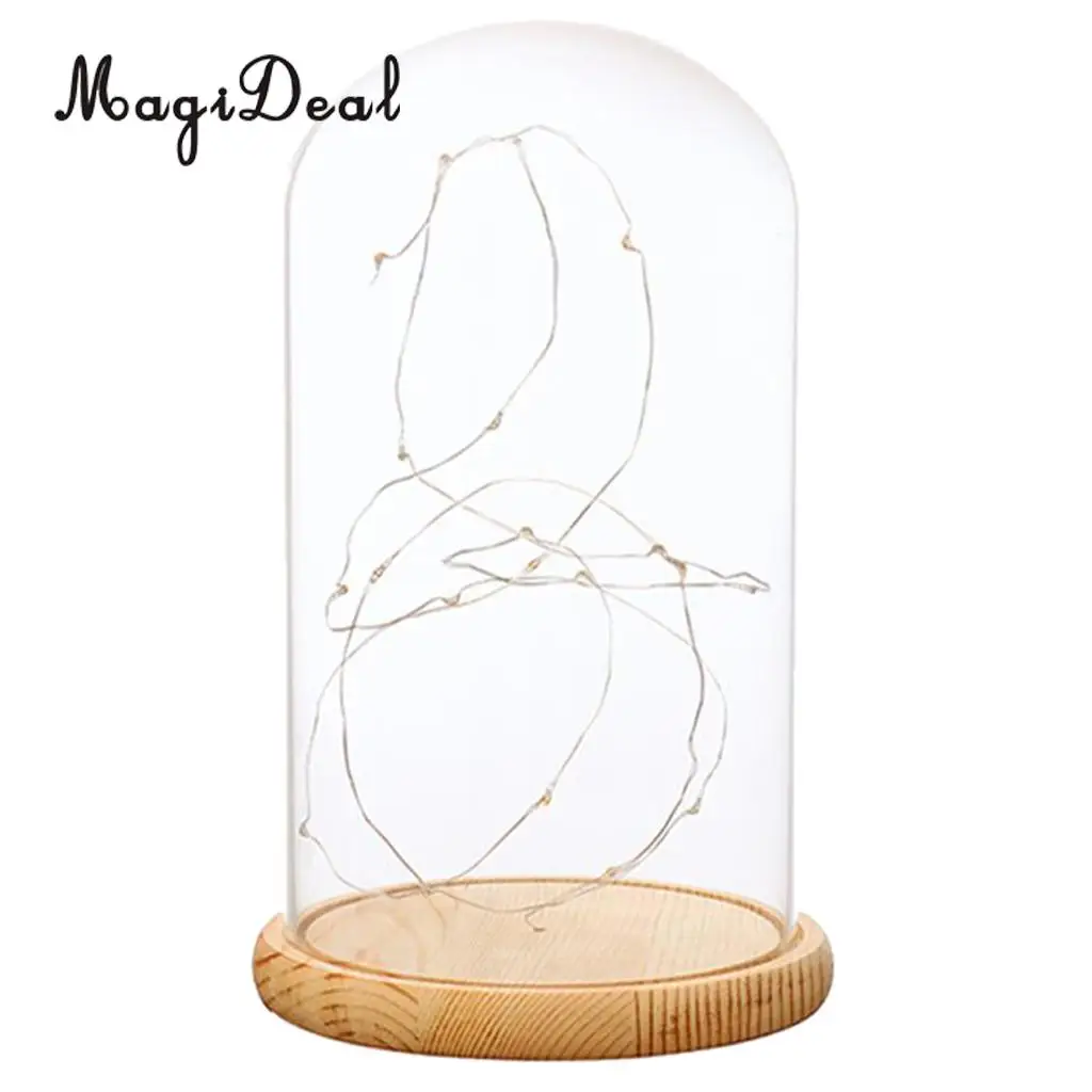 Glass Display Dome Cloche With Suspended LED Lights Tabletop Lamp Wedding Holiday Decor Crafts