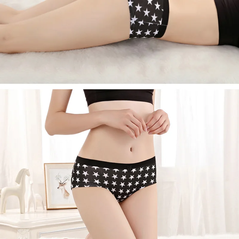 Briefs  (4)