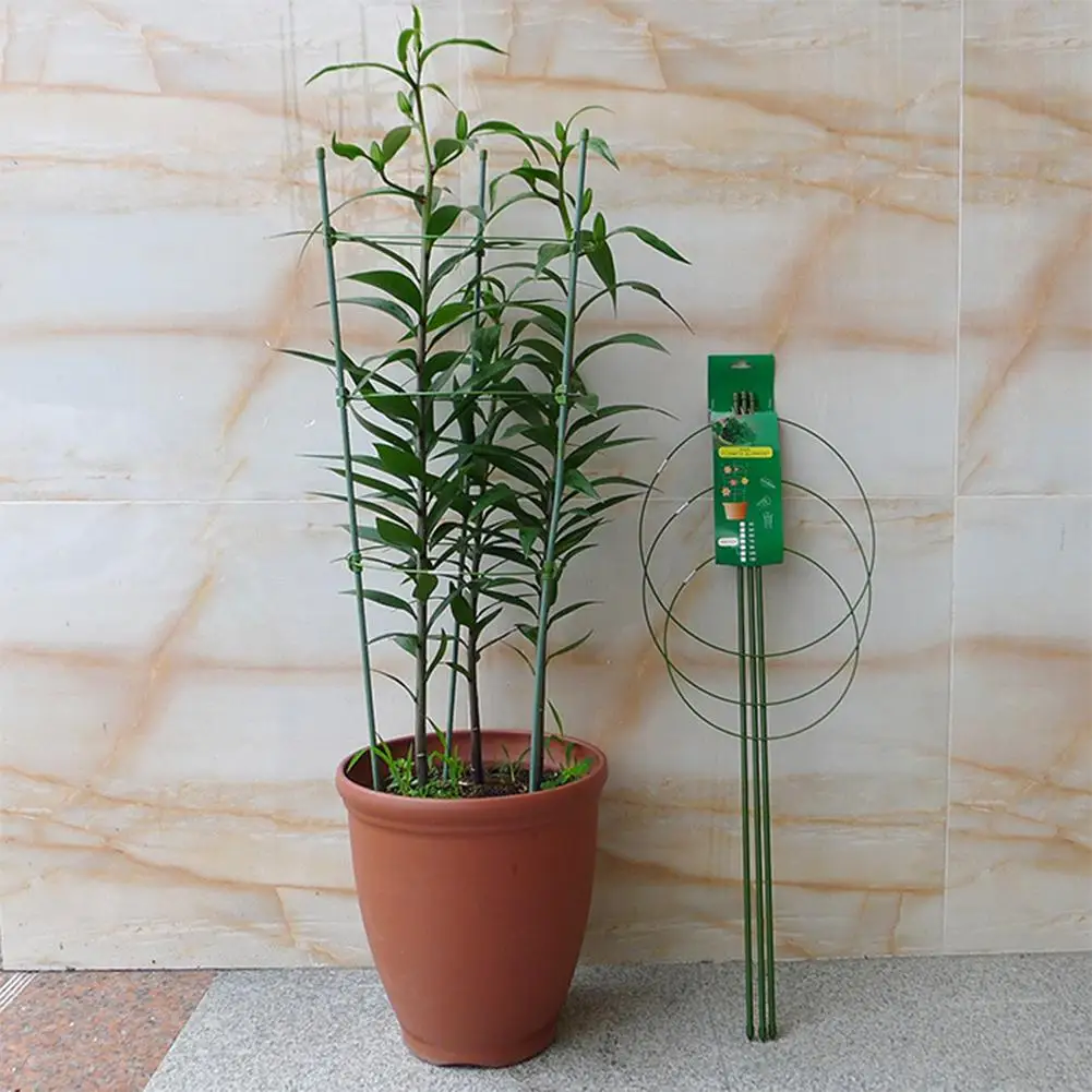 Iron Ring Liana Plant Support Stand Flowerpot Brace Gardening Supplies Plant Cages Supports Aliexpress