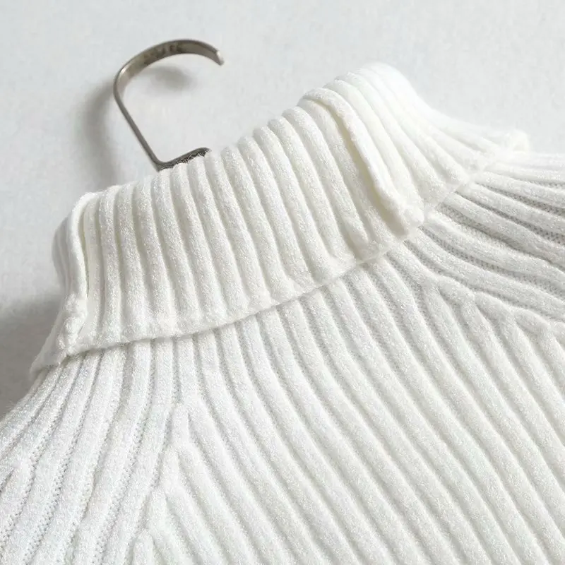 TMODA зима осень 2019 новинки для женщин свитер черепаха средства ухода за кожей Шеи Longn рукава свитер повседневное дизайн в обтяжку эластичные