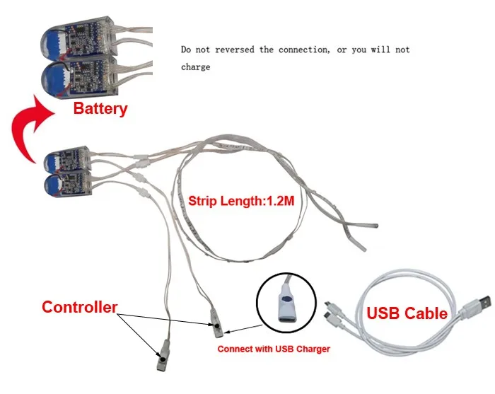LED Shoe Light    (3)