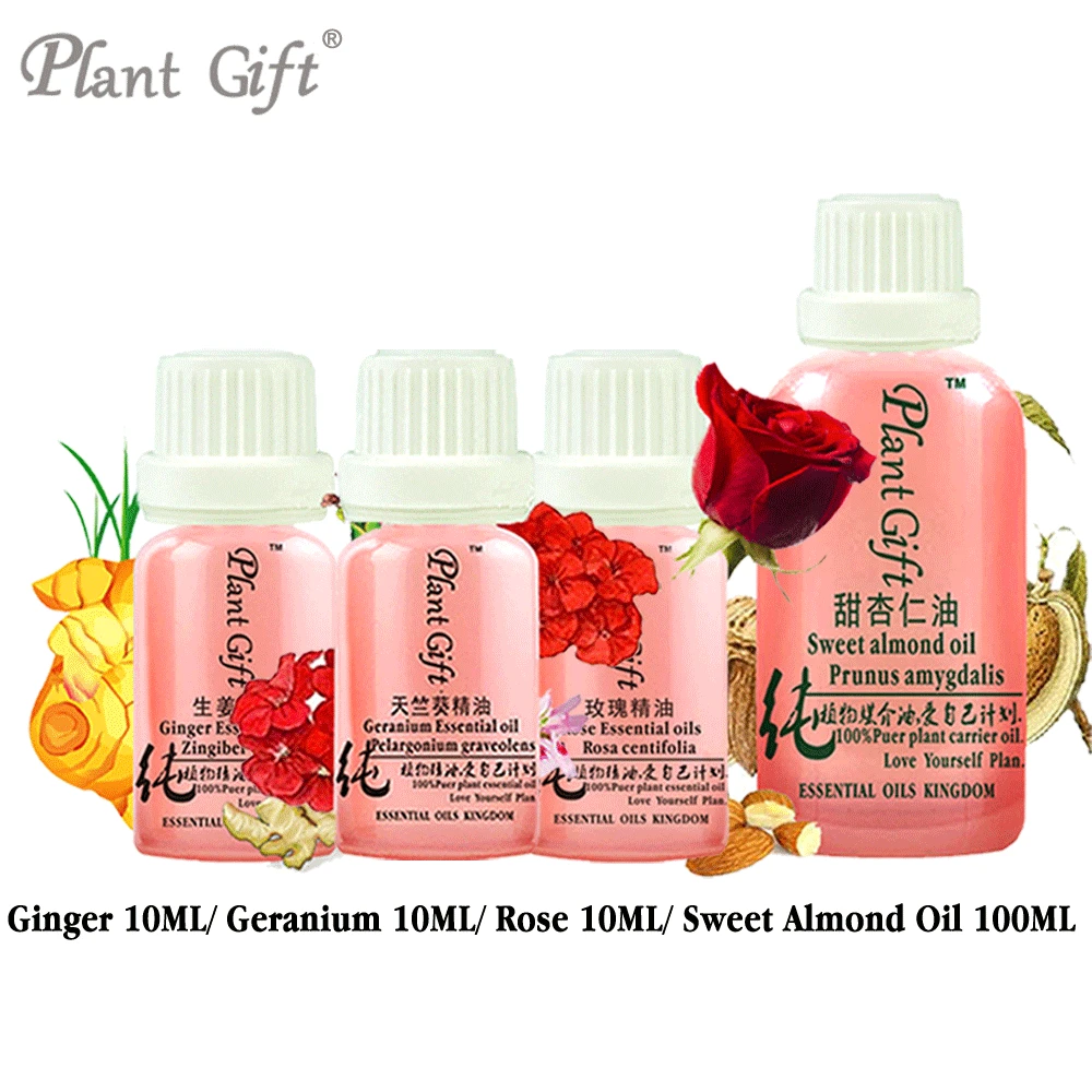 100% Pure Plant Ginger / Geranium / Rose / Sweet Almond Oil 10ml Improve Cold, Accumulation Of Phlegm, Anti-hair Loss Warm