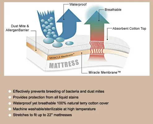 housse anti punaise de lit de matelas imperméable en éponge – Image 5