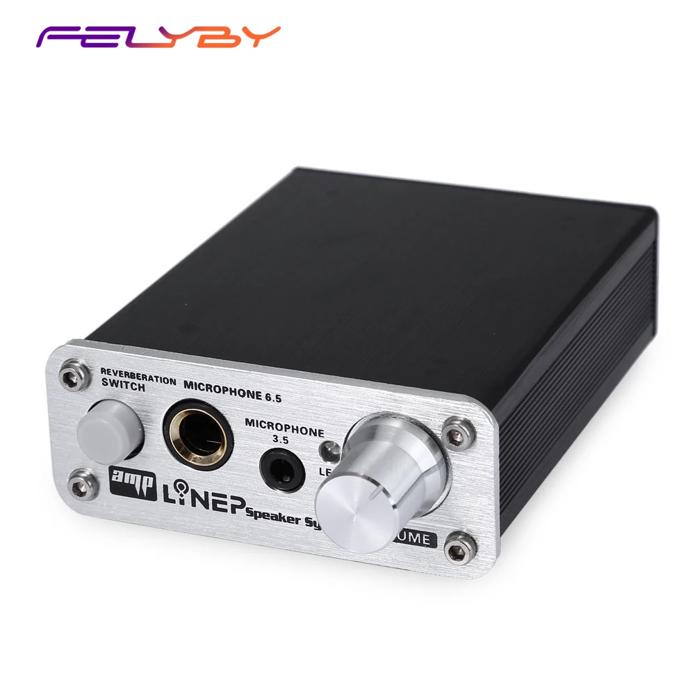 FELYBY Professional Microphone Amplifier Dual Microphone