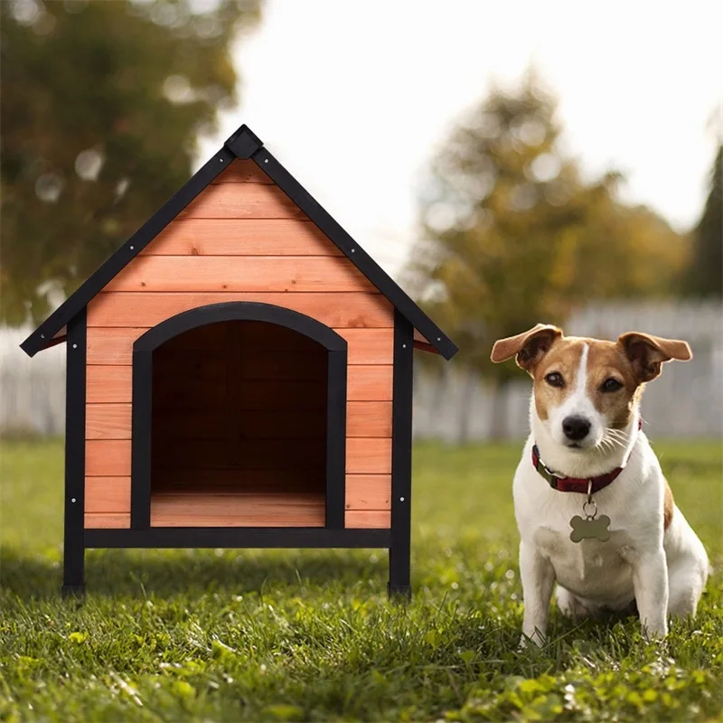 dog shelter house