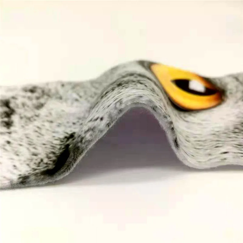 _20190225113815