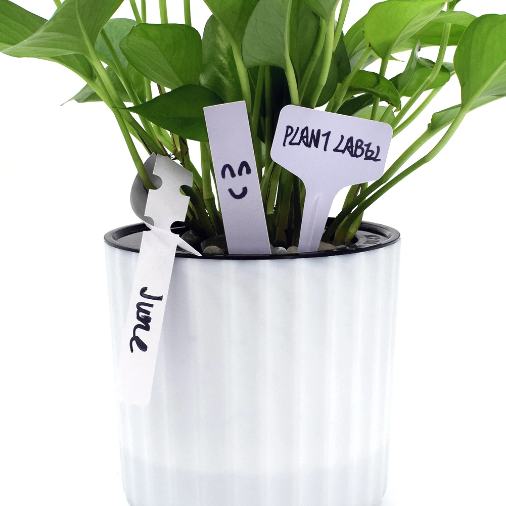 Buy 900PCS Plastic Plant labels 3 Shapes Seed Blank