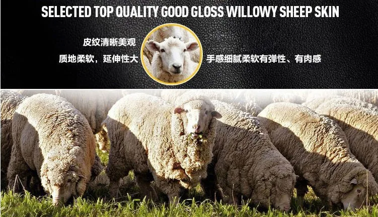 QQ20140313191256 - .jpg