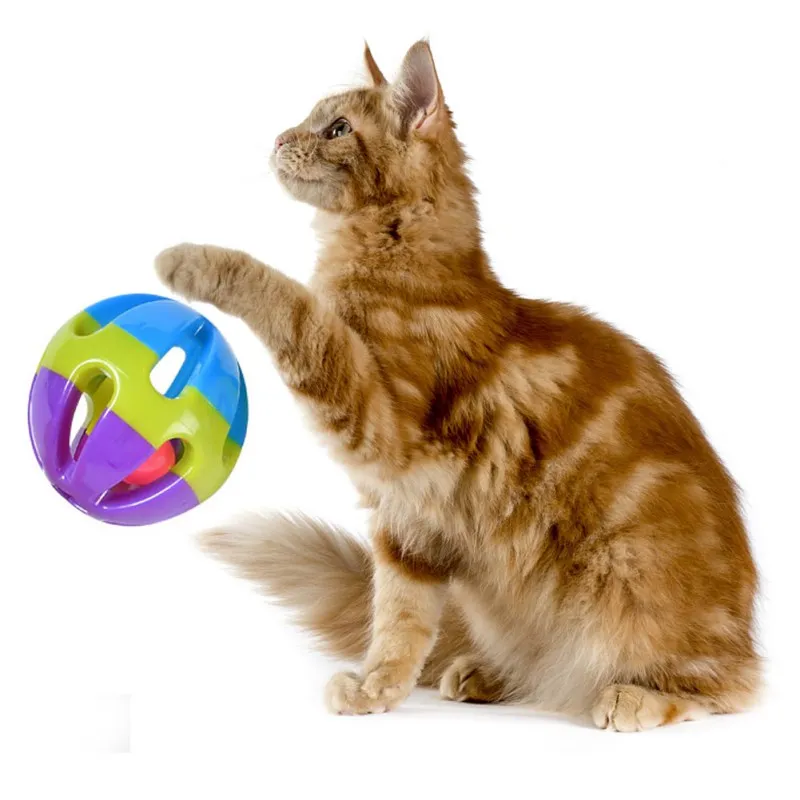 Dog 8cm Big Bell 3 Colors Plastic Toy Pet Dog Balls Puppy Cat Teeth Ball Dog Chew Toys Balls Interactive Dog Toys Pet Products Dog 8cm Big Bell 3 Colors Plastic Toy Pet Dog Balls Puppy Cat Teeth Ball Dog Chew Toys Balls Interactive Dog Toys Pet Products