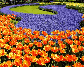 

Frameless painting by numbers paint by number for home decor PBN for living room 4050 tulip garden