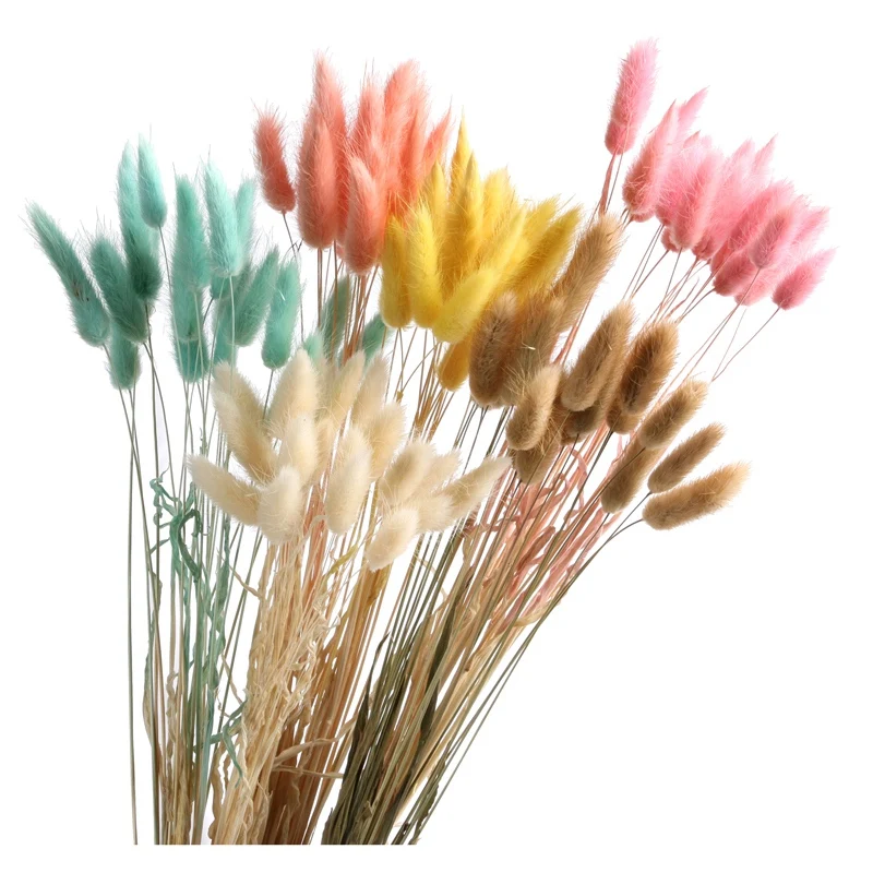 1 pack(50 head) Denisfen Natural Decorative Dried Flower Colorful Rabbit Tail Cute Bunny Flowers