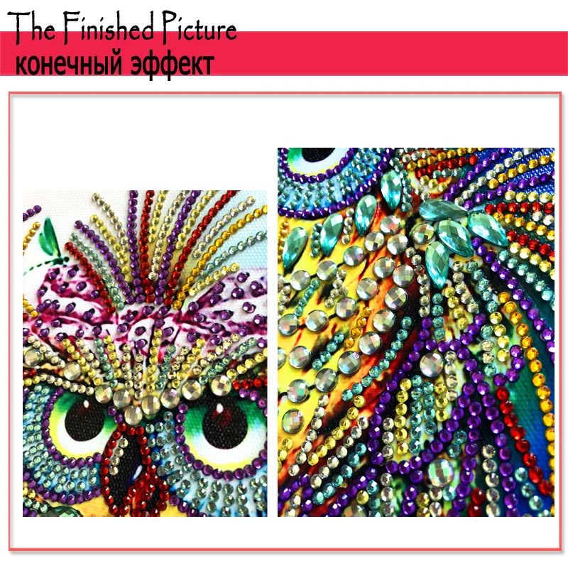 RUBOS DIY 5D Diamond Embroidery Owl Animals Special Bead Big Pearl Diamond Painting Mosaic New Sale Gift Craft Hobby Home Decor (5)
