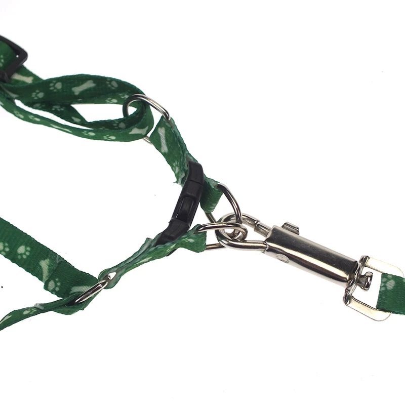 dog harness leash (2)