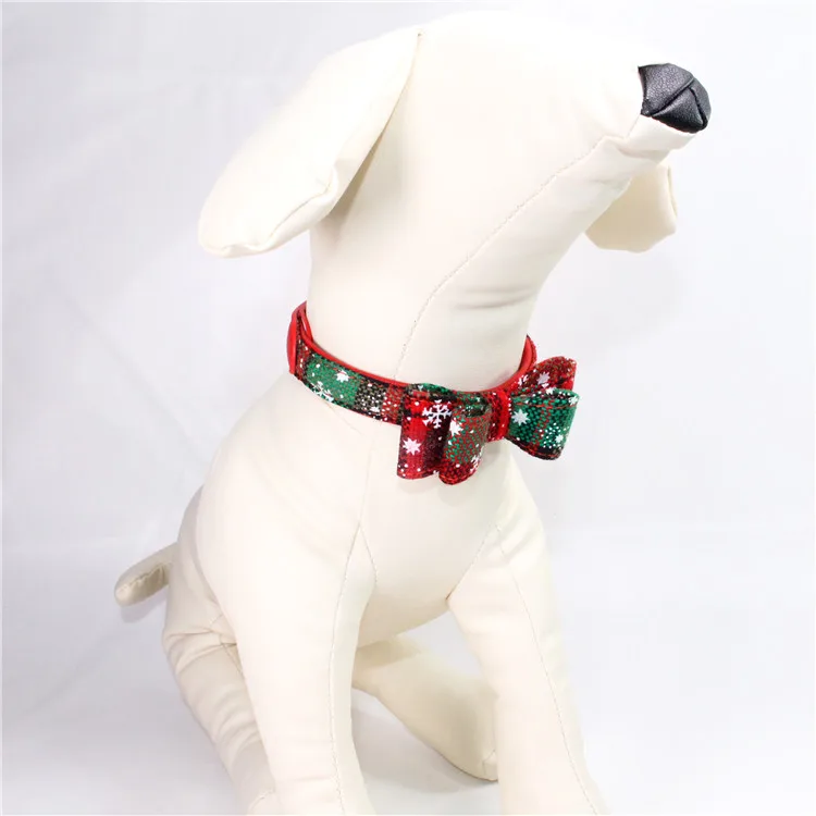 dog collar (7)
