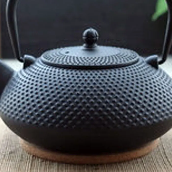 Buy Free shipping cast iron teapot, good quality 600ml Japanese Iron Teapot