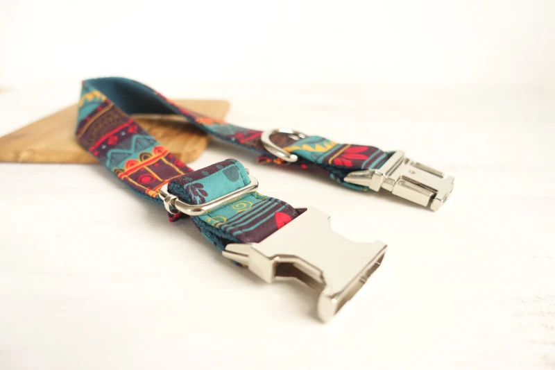 Designer Dog Collars  (5)