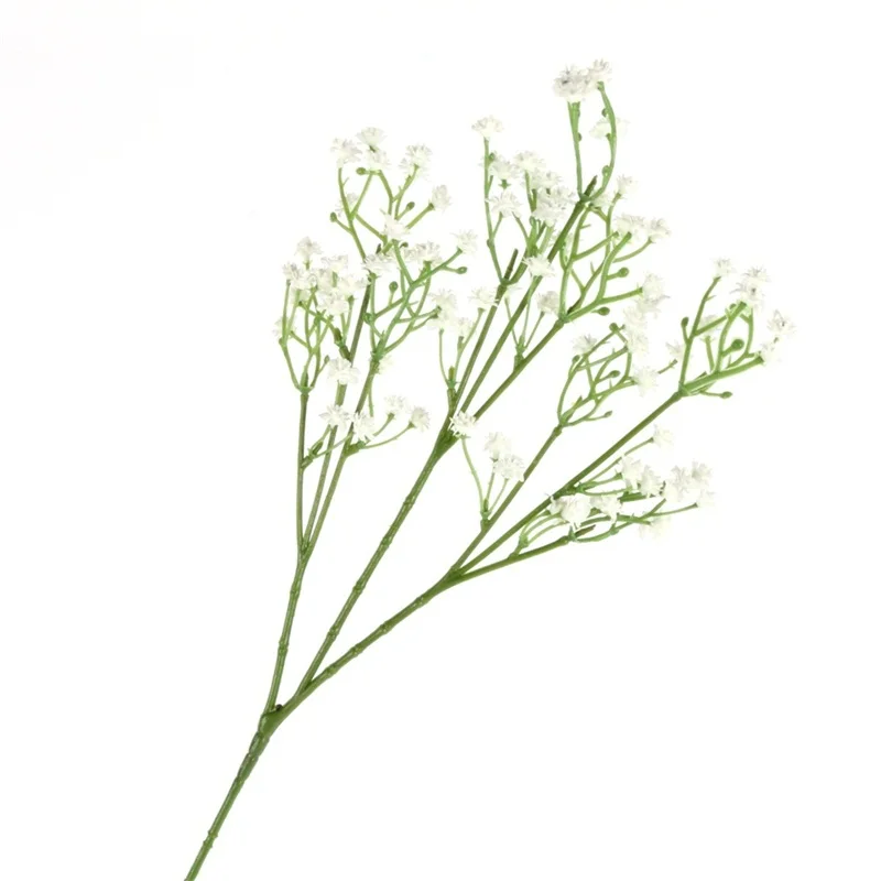 RL0074W (9)