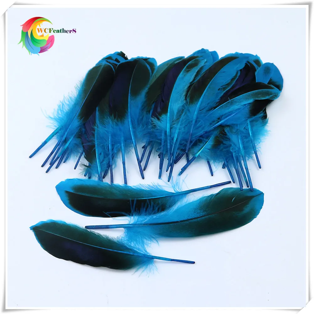 6 lake blue duck feather 2