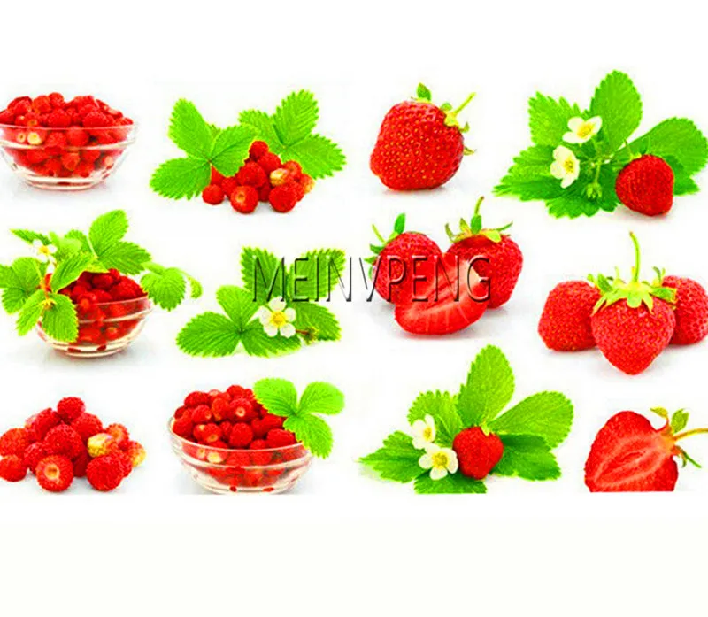 

Loss Promotion!Giant Japan Strawberry bonsai, Giant Red Strawberry Organic plants Garden,300flores