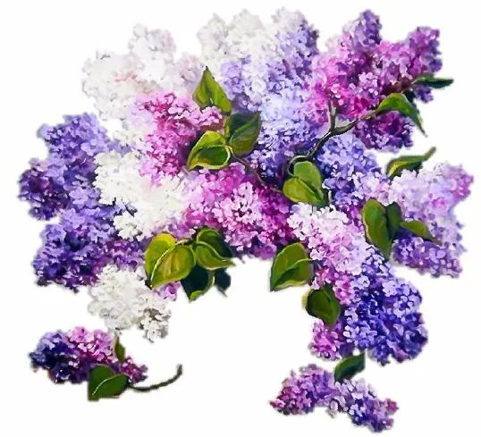 55x48CM DIY diamond painting Cross Stitch Lavender Rhinestones mosaic decorative painting Flowers 5D Diamond embroidery