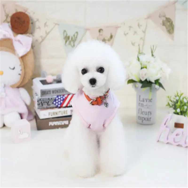 QQ20190210164306