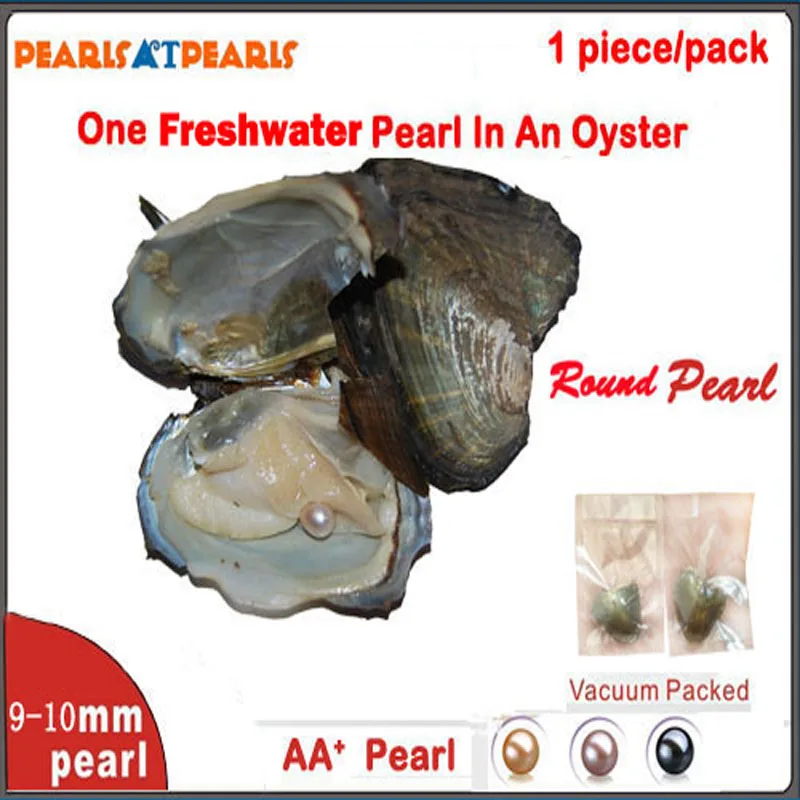 50pcs 9-10mm Single AA+ Round Pearl with Individually Vacuum Packed Oyster Fresh Water Pearl in Oyster
