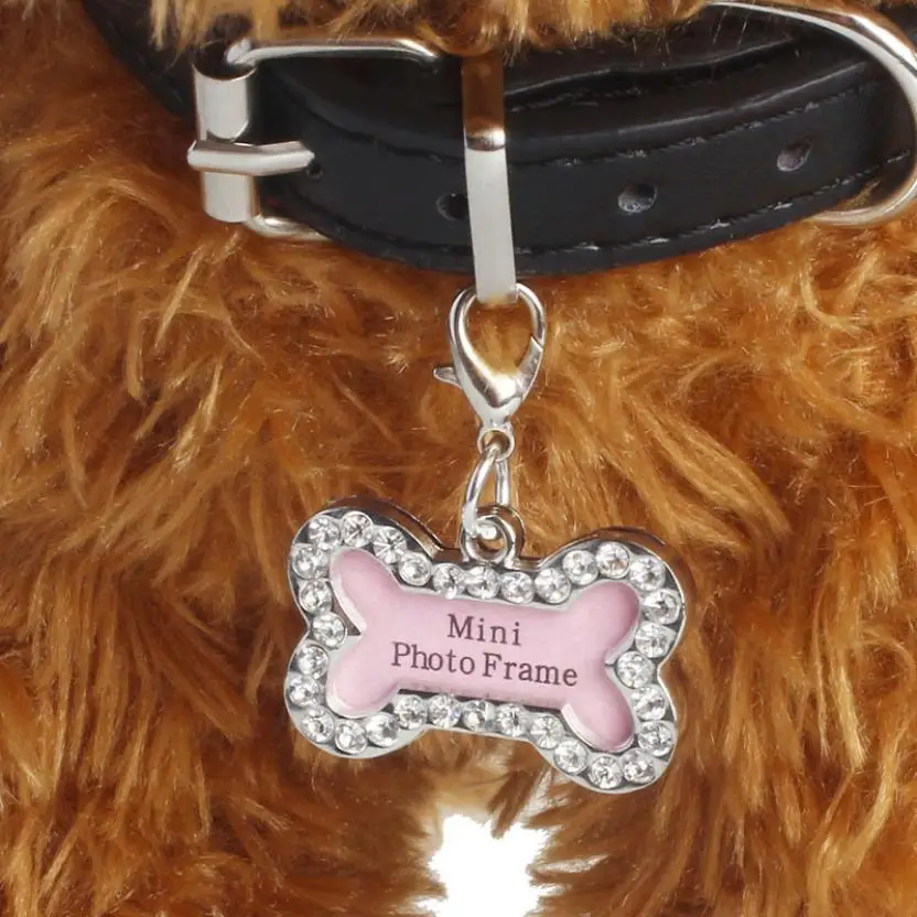 

1PC Fashion Bone Shape Rhinestone Identity Card Heart Pendant Pearl Pet Jewelry Drop Shipping Happy Sale