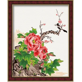 

Framed diy painting by numbers coloring by numbers picture oil painting on canvas with frame 4050cm bird on the branch