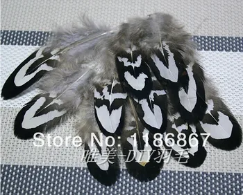 

200pcs/lot 4-7cm white pheasant tail plumage feathers hot sale for jewelery making pheasant feathers for craft wedding decor