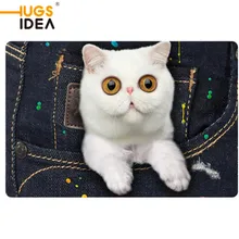 HUGSIDEA Denim Cat чувствовал резиновой коврики для ванной коврик Гостиная Нескользящие Кухня 3D коврик Творческий Коврик 40*60 см
