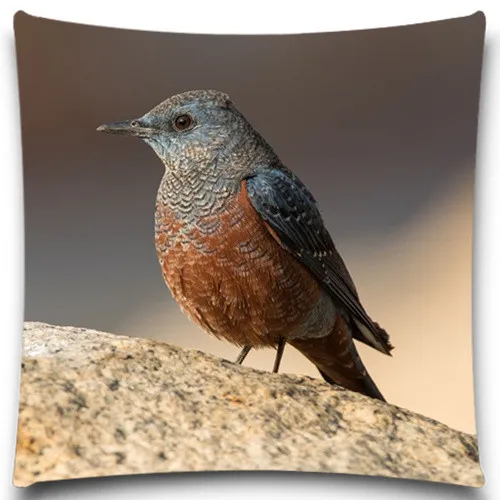 A Bird Standing On A Stone 2d Print Creative Pillow Case Square
