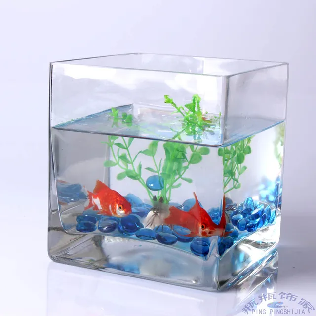 Small aquarium fish tank square glass cube hydroponic ware square