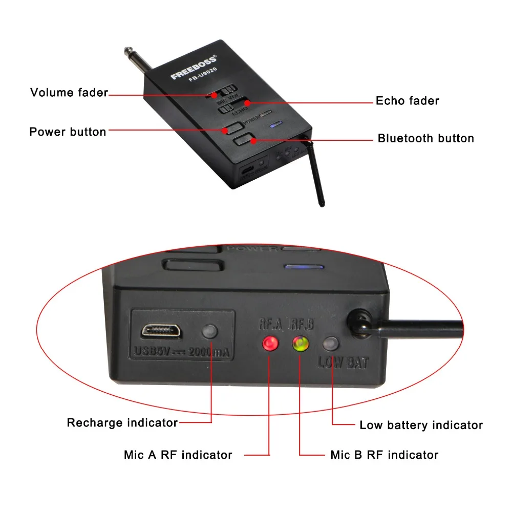 FREEBOSS FB-U9020 2 Way 2x30  Adjustable Frequency
