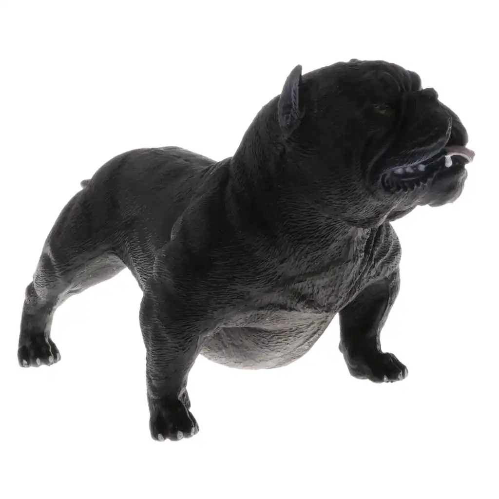 american bully black panther