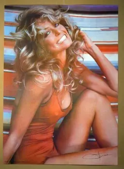 

FARRAH FAWCETT 1976 SILK POSTER Decorative painting 24x36inch
