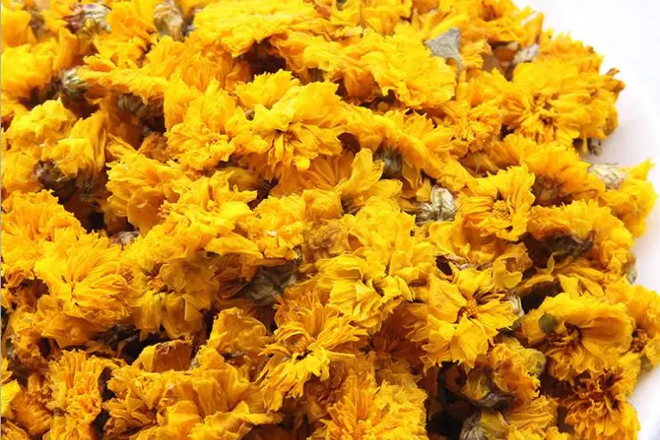 Yellow Chrysanthemum Flower