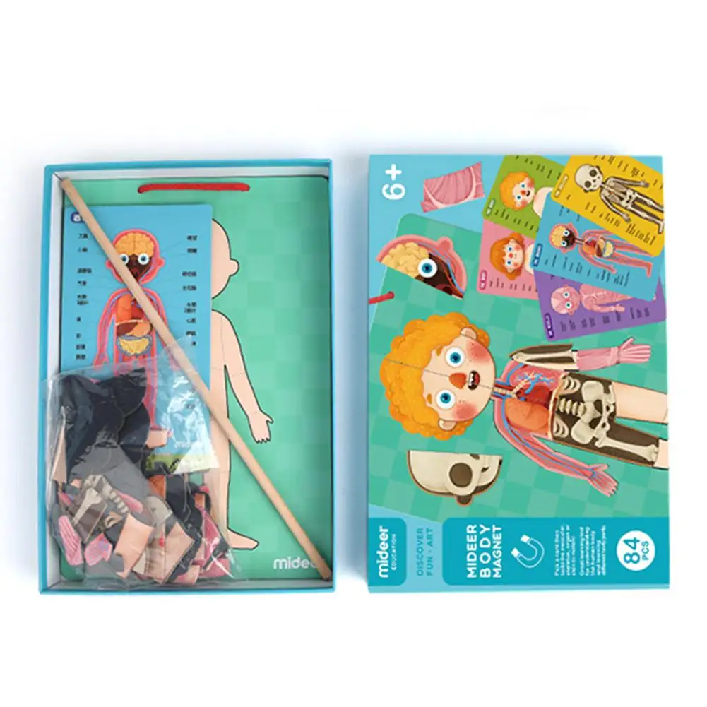 

Children Early Learning Educational Toys Magnetic Human Body Structure Cognitive Puzzle 4 Layers For Boys And Girls Kindergarten